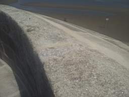 sandymount tower- 21319.jpg